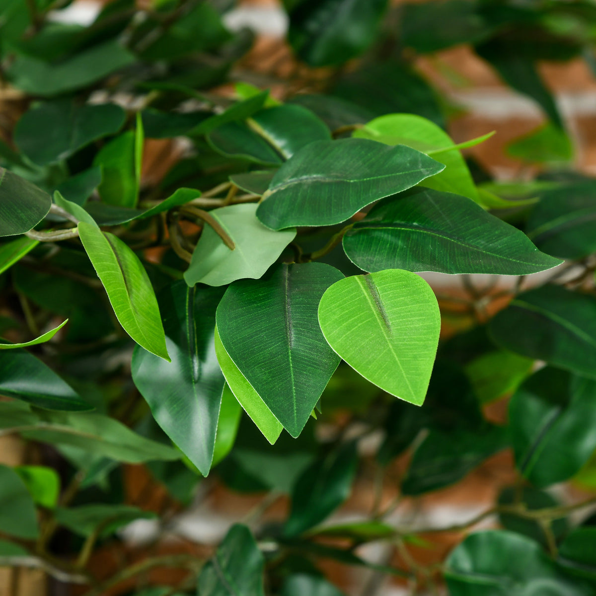 Lot de 2 ficus artificiels avec pot — 1,50 m — vue 7